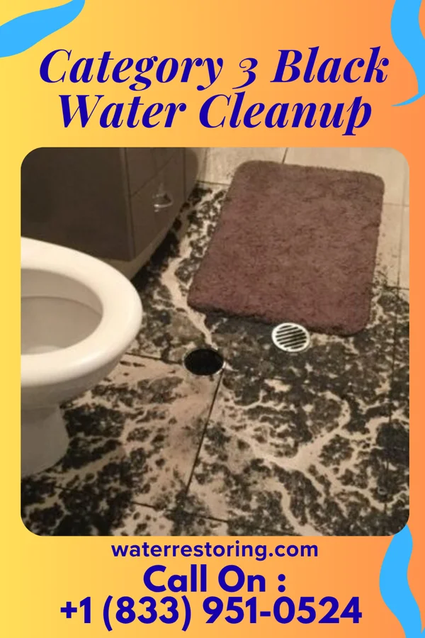 Category 3 Black Water Cleanup in Waller, PA
